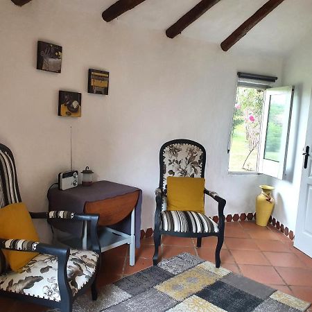 Le Clos D'Almide Monestier (Dordogne) Exterior foto