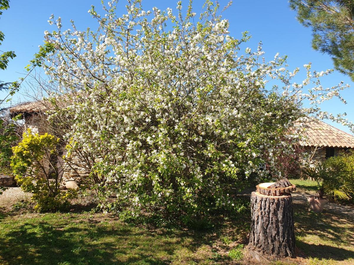 Le Clos D'Almide Monestier (Dordogne) Exterior foto